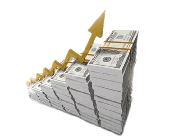 Títulos de Capitalización Empresarial